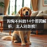 狗狗不叫的14个原因解析,主人别忽视!(图2) 狗狗不叫的14个原因解析,主人别忽视!(图2)