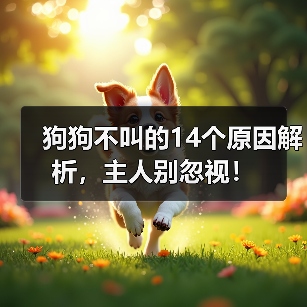 狗狗不叫的14个原因解析,主人别忽视!(图4) 狗狗不叫的14个原因解析,主人别忽视!(图4)