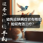 幼狗皮肤病症状有哪些？如何有效治疗？（图1）