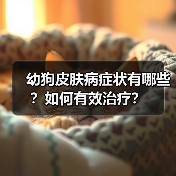 幼狗皮肤病症状有哪些？如何有效治疗？（图3）