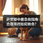 萨摩耶中暑急救指南:合理用药如何救命?(图3) 萨摩耶中暑急救指南:合理用药如何救命?(图3)
