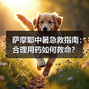 萨摩耶中暑急救指南:合理用药如何救命?(图4) 萨摩耶中暑急救指南:合理用药如何救命?(图4)