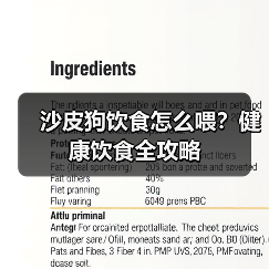 沙皮狗饮食怎么喂?健康饮食全攻略(图3) 沙皮狗饮食怎么喂?健康饮食全攻略(图3)