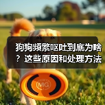 狗狗频繁呕吐到底为啥?这些原因和处理方法要了解(图1) 狗狗频繁呕吐到底为啥?这些原因和处理方法要了解(图1)