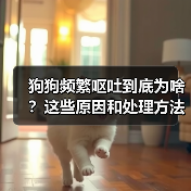 狗狗频繁呕吐到底为啥?这些原因和处理方法要了解(图3) 狗狗频繁呕吐到底为啥?这些原因和处理方法要了解(图3)