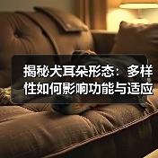 揭秘犬耳朵形态:多样性如何影响功能与适应性(图4) 揭秘犬耳朵形态:多样性如何影响功能与适应性(图4)
