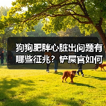 狗狗肥胖心脏出问题有哪些征兆?铲屎官如何预防?(图1) 狗狗肥胖心脏出问题有哪些征兆?铲屎官如何预防?(图1)