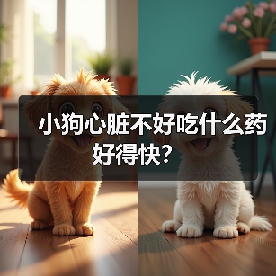 小狗心脏不好吃什么药好得快?(图1) 小狗心脏不好吃什么药好得快?(图1)