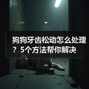 狗狗牙齿松动怎么处理？5个方法帮你解决（图1）