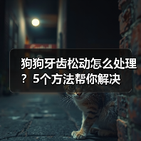 狗狗牙齿松动怎么处理？5个方法帮你解决（图3）