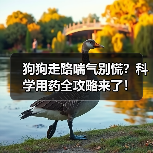 狗狗走路喘气别慌？科学用药全攻略来了！（图1）