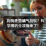 狗狗走路喘气别慌？科学用药全攻略来了！（图2）
