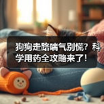 狗狗走路喘气别慌？科学用药全攻略来了！（图3）