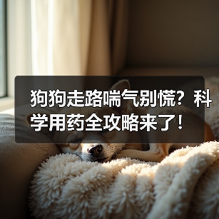 狗狗走路喘气别慌？科学用药全攻略来了！（图4）