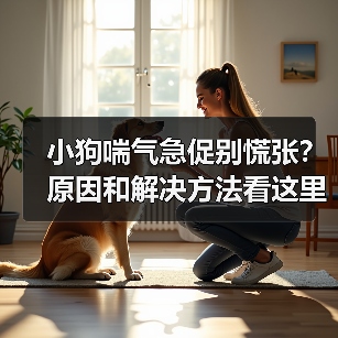 小狗喘气急促别慌张?原因和解决方法看这里!(图3) 小狗喘气急促别慌张?原因和解决方法看这里!(图3)