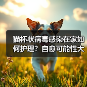 猫杯状病毒感染在家如何护理?自愈可能性大吗?(图3) 猫杯状病毒感染在家如何护理?自愈可能性大吗?(图3)