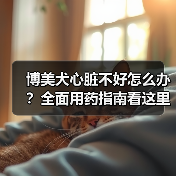 博美犬心脏不好怎么办?全面用药指南看这里!(图2) 博美犬心脏不好怎么办?全面用药指南看这里!(图2)