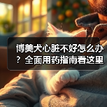 博美犬心脏不好怎么办?全面用药指南看这里!(图1) 博美犬心脏不好怎么办?全面用药指南看这里!(图1)