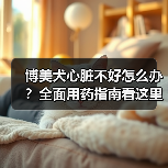 博美犬心脏不好怎么办?全面用药指南看这里!(图3) 博美犬心脏不好怎么办?全面用药指南看这里!(图3)