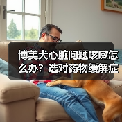 博美犬心脏问题咳嗽怎么办？选对药物缓解症状（图1）