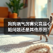 狗狗喘气厉害究竟是心脏问题还是其他原因?(图2) 狗狗喘气厉害究竟是心脏问题还是其他原因?(图2)
