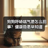 狗狗呼哧喘气是怎么回事?健康隐患早知道(图1) 狗狗呼哧喘气是怎么回事?健康隐患早知道(图1)
