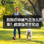 狗狗呼哧喘气是怎么回事?健康隐患早知道(图2) 狗狗呼哧喘气是怎么回事?健康隐患早知道(图2)