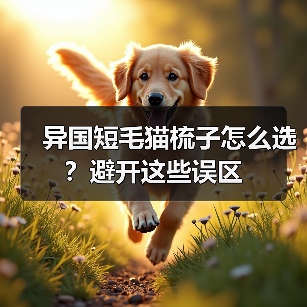 异国短毛猫梳子怎么选?避开这些误区(图3) 异国短毛猫梳子怎么选?避开这些误区(图3)