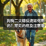 狗狗二尖瓣反流如何用药?常见药物及注意事项详解(图3) 狗狗二尖瓣反流如何用药?常见药物及注意事项详解(图3)