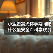 小型贵宾犬怀孕期间吃什么最安全?科学饮食保障母犬与胎儿健康(图1) 小型贵宾犬怀孕期间吃什么最安全?科学饮食保障母犬与胎儿健康(图1)