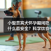 小型贵宾犬怀孕期间吃什么最安全?科学饮食保障母犬与胎儿健康(图2) 小型贵宾犬怀孕期间吃什么最安全?科学饮食保障母犬与胎儿健康(图2)
