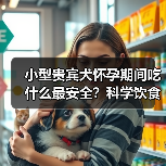 小型贵宾犬怀孕期间吃什么最安全?科学饮食保障母犬与胎儿健康(图3) 小型贵宾犬怀孕期间吃什么最安全?科学饮食保障母犬与胎儿健康(图3)
