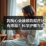 狗狗心衰最后阶段症状有哪些?科学护理与告别指南(图4) 狗狗心衰最后阶段症状有哪些?科学护理与告别指南(图4)