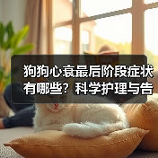 狗狗心衰最后阶段症状有哪些?科学护理与告别指南(图3) 狗狗心衰最后阶段症状有哪些?科学护理与告别指南(图3)