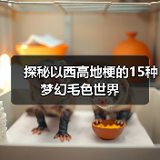 探秘以西高地梗的15种梦幻毛色世界(图1) 探秘以西高地梗的15种梦幻毛色世界(图1)