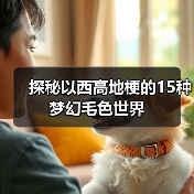 探秘以西高地梗的15种梦幻毛色世界(图4) 探秘以西高地梗的15种梦幻毛色世界(图4)
