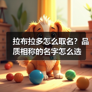 拉布拉多怎么取名?品质相称的名字怎么选(图1) 拉布拉多怎么取名?品质相称的名字怎么选(图1)