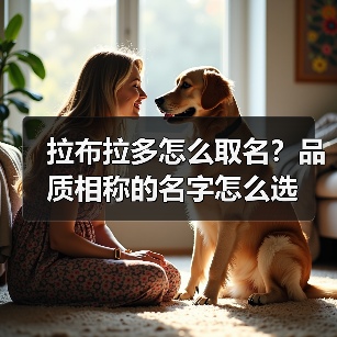 拉布拉多怎么取名?品质相称的名字怎么选(图4) 拉布拉多怎么取名?品质相称的名字怎么选(图4)