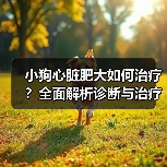 小狗心脏肥大如何治疗?全面解析诊断与治疗方案(图4) 小狗心脏肥大如何治疗?全面解析诊断与治疗方案(图4)