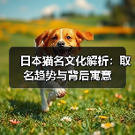 日本猫名文化解析:取名趋势与背后寓意(图2) 日本猫名文化解析:取名趋势与背后寓意(图2)