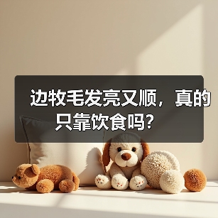 边牧毛发亮又顺,真的只靠饮食吗?(图4) 边牧毛发亮又顺,真的只靠饮食吗?(图4)