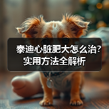 泰迪心脏肥大怎么治?实用方法全解析(图1) 泰迪心脏肥大怎么治?实用方法全解析(图1)
