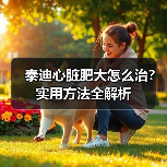 泰迪心脏肥大怎么治?实用方法全解析(图2) 泰迪心脏肥大怎么治?实用方法全解析(图2)