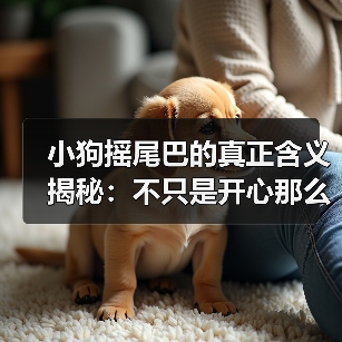 小狗摇尾巴的真正含义揭秘:不只是开心那么简单(图1) 小狗摇尾巴的真正含义揭秘:不只是开心那么简单(图1)