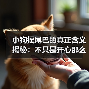 小狗摇尾巴的真正含义揭秘:不只是开心那么简单(图4) 小狗摇尾巴的真正含义揭秘:不只是开心那么简单(图4)
