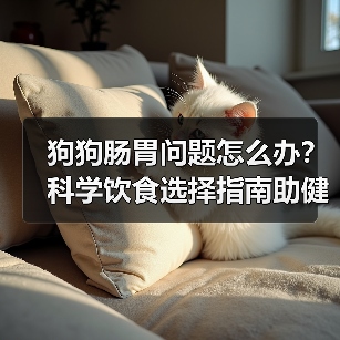 狗狗肠胃问题怎么办?科学饮食选择指南助健康(图3) 狗狗肠胃问题怎么办?科学饮食选择指南助健康(图3)
