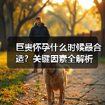 巨贵怀孕什么时候最合适?关键因素全解析(图2) 巨贵怀孕什么时候最合适?关键因素全解析(图2)