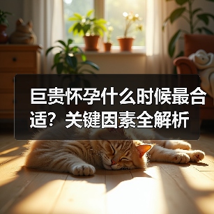 巨贵怀孕什么时候最合适?关键因素全解析(图1) 巨贵怀孕什么时候最合适?关键因素全解析(图1)