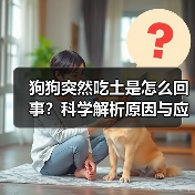 狗狗突然吃土是怎么回事？科学解析原因与应对方案（图1）