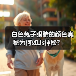 白色兔子眼睛的颜色奥秘为何如此神秘？（图1）